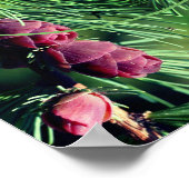 Miniatur-Kiefernrahmen erstellen Ihr eigenes Foto Poster (Ecke)