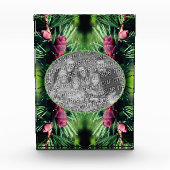 Miniatur-Kiefernrahmen hinzufügen Fotoblock (Vorderseite)