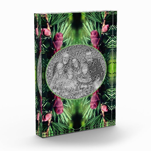 Miniatur-Kiefernrahmen hinzufügen Fotoblock (Links)