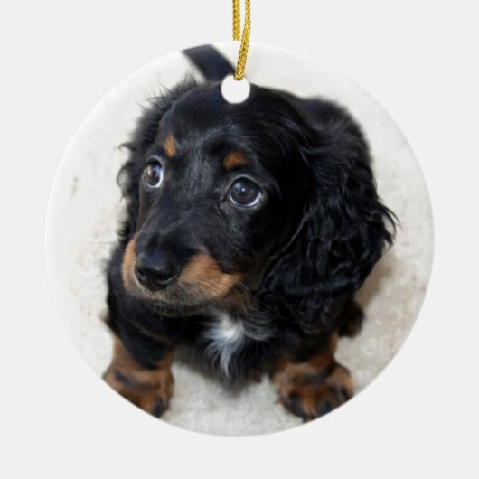 Miniatur Long Haired Dashund Keramikornament (Vorne)