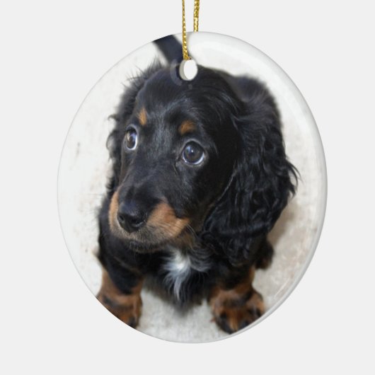 Miniatur Long Haired Dashund Keramikornament (Links)