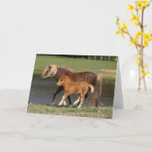 Miniatur Mare and Foal Walking am See Karte (Gelbe Blume)