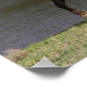 Miniatur Mare and Foal Walking am See Poster (Ecke)