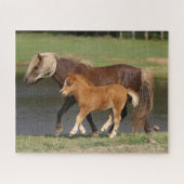 Miniatur Mare and Foal Walking am See Puzzle (Horizontal)