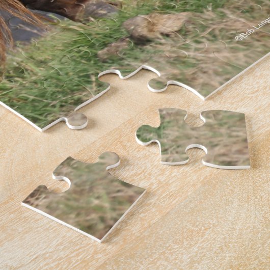 Miniatur Mare and Foal Walking am See Puzzle (Seite)