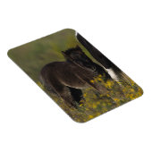 Miniatur Mare & Foal in den Blume Magnet (Rechte Seite)