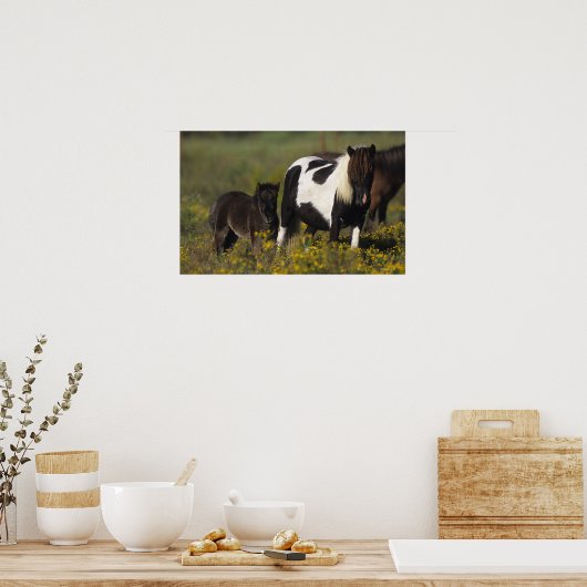 Miniatur Mare & Foal in den Blume Poster (Küche)