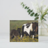 Miniatur Mare & Foal in den Blume Postkarte (Stehend Vorderseite)
