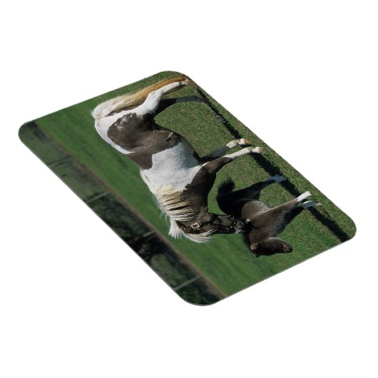 Miniatur-Mare & Foal-Stehend Magnet (Rechte Seite)