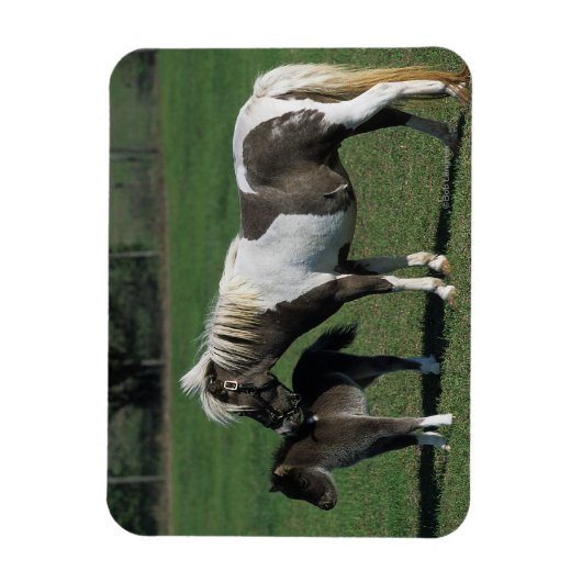 Miniatur-Mare & Foal-Stehend Magnet (Vertikal)
