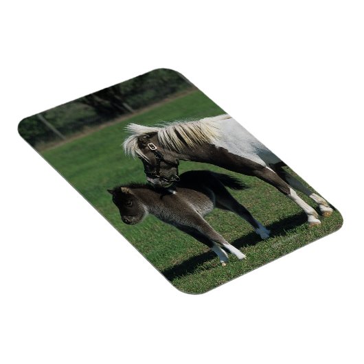 Miniatur-Mare & Foal-Stehend Magnet (Rechte Seite)