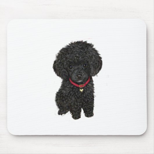 Miniatur- oder Spielzeugpoodle - Schwarz 1 Mousepad (Vorne)