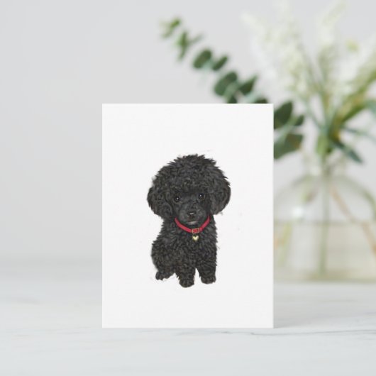 Miniatur- oder Spielzeugpoodle - Schwarz 1 Postkarte (Stehend Vorderseite)