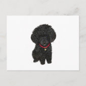 Miniatur- oder Spielzeugpoodle - Schwarz 1 Postkarte (Vorderseite)