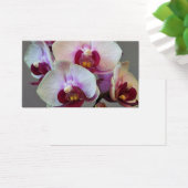 Miniatur Orchid (Schreibtisch)