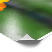 Miniatur-Orchideen Fotodruck (Ecke)