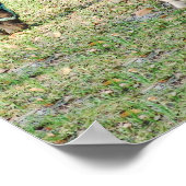 Miniatur-Pferdefoal - Maßgeschneiderte Farbe & Fül Poster (Ecke)