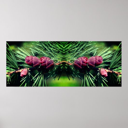Miniatur Pine Cones Mirror Abstrakt Poster (Vorne)