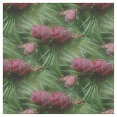 Miniatur Pine Cones Nattern Muster Stoff (Nahaufnahme)