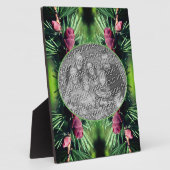 Miniatur-Pine-Kegel hinzufügen Ihr eigenes Foto Fotoplatte (Seite)