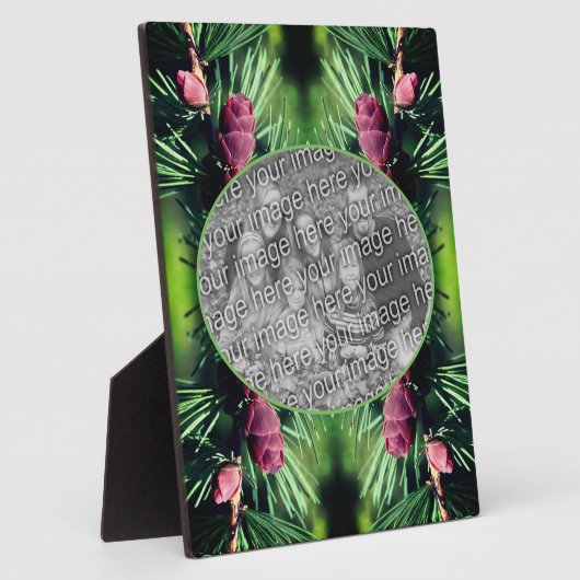 Miniatur-Pine-Kegel hinzufügen Ihr eigenes Foto Fotoplatte (Seite)