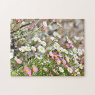 Miniatur Pink White Daisies Daisy Blume Nature Puzzle