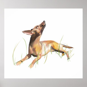 Miniatur Pinscher Aufkleber Etikett Poster