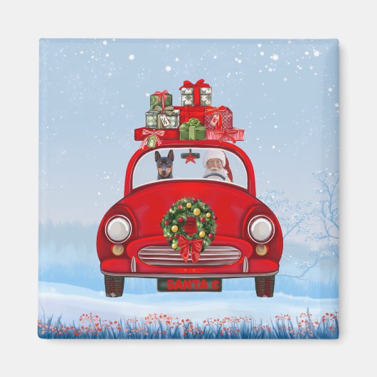 Miniatur Pinscher Hund in Auto mit dem Weihnachtsm Magnet (Vorne)