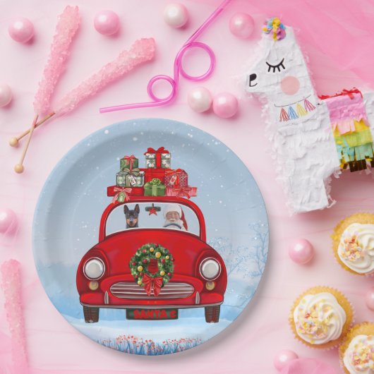 Miniatur Pinscher Hund in Auto mit dem Weihnachtsm Pappteller (Party)