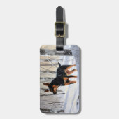 Miniatur Pinscher lassen es Schnee Weihnachten Gepäckanhänger (Vorderseite vertikal)