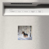 Miniatur Pinscher lassen es Schnee Weihnachten Magnet (In Situ (Geschirrspüler))