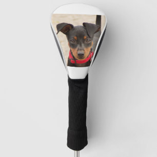Miniatur-Pinscher-Schwarz und Rost Golf Headcover