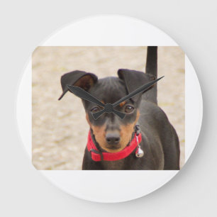 Miniatur-Pinscher-Schwarz und Rost Große Wanduhr