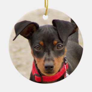 Miniatur-Pinscher-Schwarz und Rost Keramik Ornament