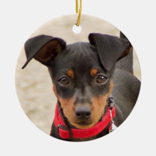 Miniatur-Pinscher-Schwarz und Rost Keramik Ornament (Vorne)