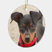 Miniatur-Pinscher-Schwarz und Rost Keramik Ornament (Links)