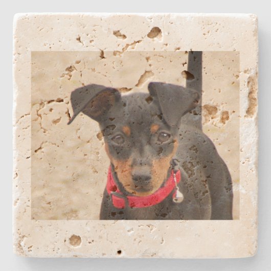 Miniatur-Pinscher-Schwarz und Rost Steinuntersetzer (Vorderseite)