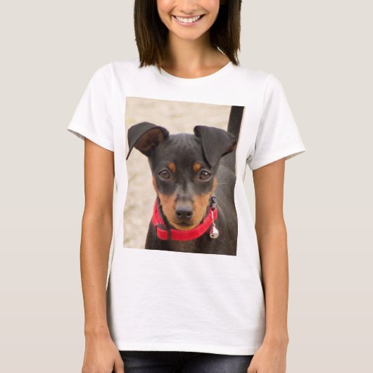 Miniatur-Pinscher-Schwarz und Rost T-Shirt (Vorderseite)