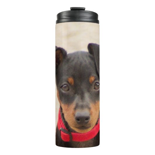 Miniatur-Pinscher-Schwarz und Rost Thermosbecher (Vorderseite)