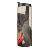 Miniatur-Pinscher-Schwarz und Rost Thermosbecher (Nach rechts gedreht)