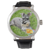 Miniatur-Schnauzer-Armbanduhr