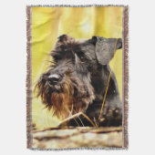 Miniatur-Schnauzer Decke (Vorderseite Vertikal)