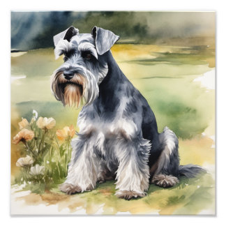 Miniatur Schnauzer im Garten - Wasserfarbe Fotodruck