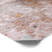 Miniatur Schnauzer im Meer Poster (Ecke)