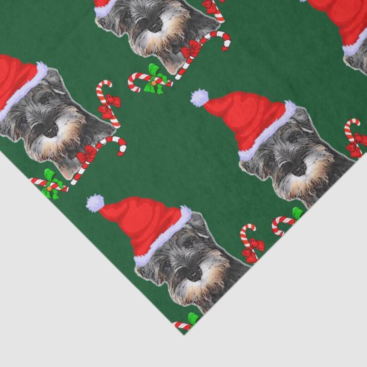 Miniatur-Schnauzer in Weihnachtsmannmütze-Gewebepa Seidenpapier (Detail)