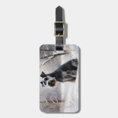 Miniatur Schnauzer lassen es Schnee Weihnachten Gepäckanhänger (Vorderseite vertikal)