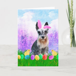 Miniatur Schnauzer mit Ostereiern Bunny Chicks Feiertagskarte