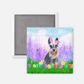 Miniatur Schnauzer mit Ostereiern Bunny Chicks Magnet (Vorderseite/Rückseite)