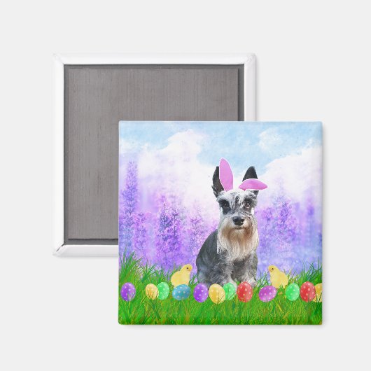 Miniatur Schnauzer mit Ostereiern Bunny Chicks Magnet (Vorderseite/Rückseite)