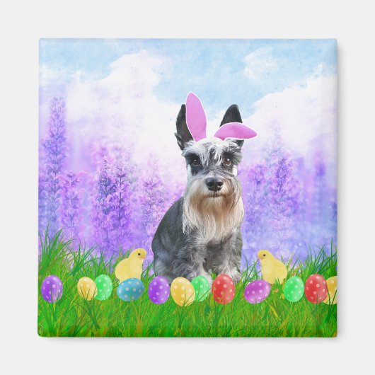 Miniatur Schnauzer mit Ostereiern Bunny Chicks Magnet (Vorne)